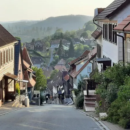 Апартаменты Schoengruen