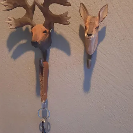 Апартаменты Schoengruen *