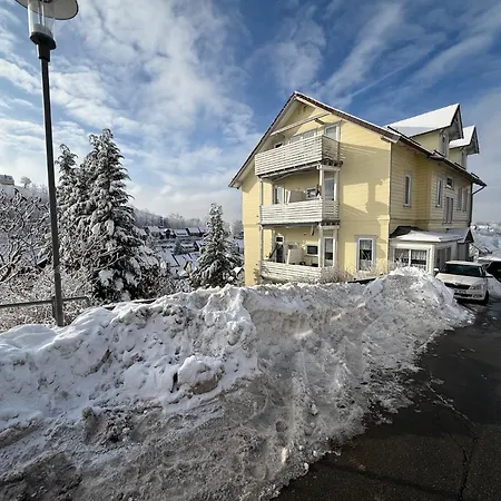 Schoengruen Apartmán *