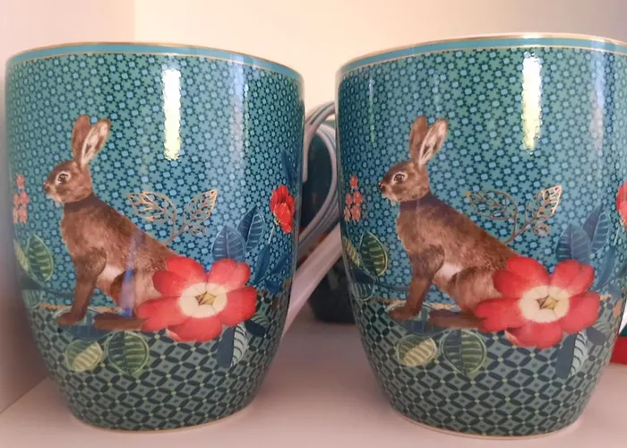 Schöngrün * Sankt Andreasberg