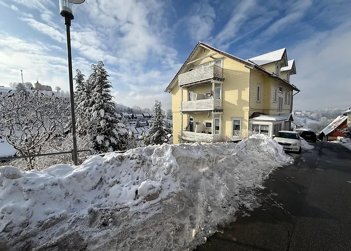 Schöngrün Apartamento *